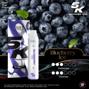 JUES 5000 Puffs Blueberry Ice