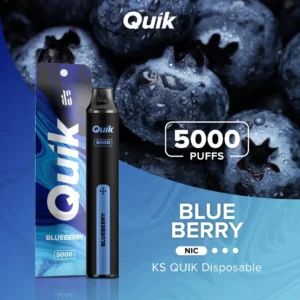 KS Quik 5000 Blueberry