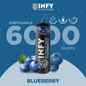 INFY 6000 Puffs Blueberry